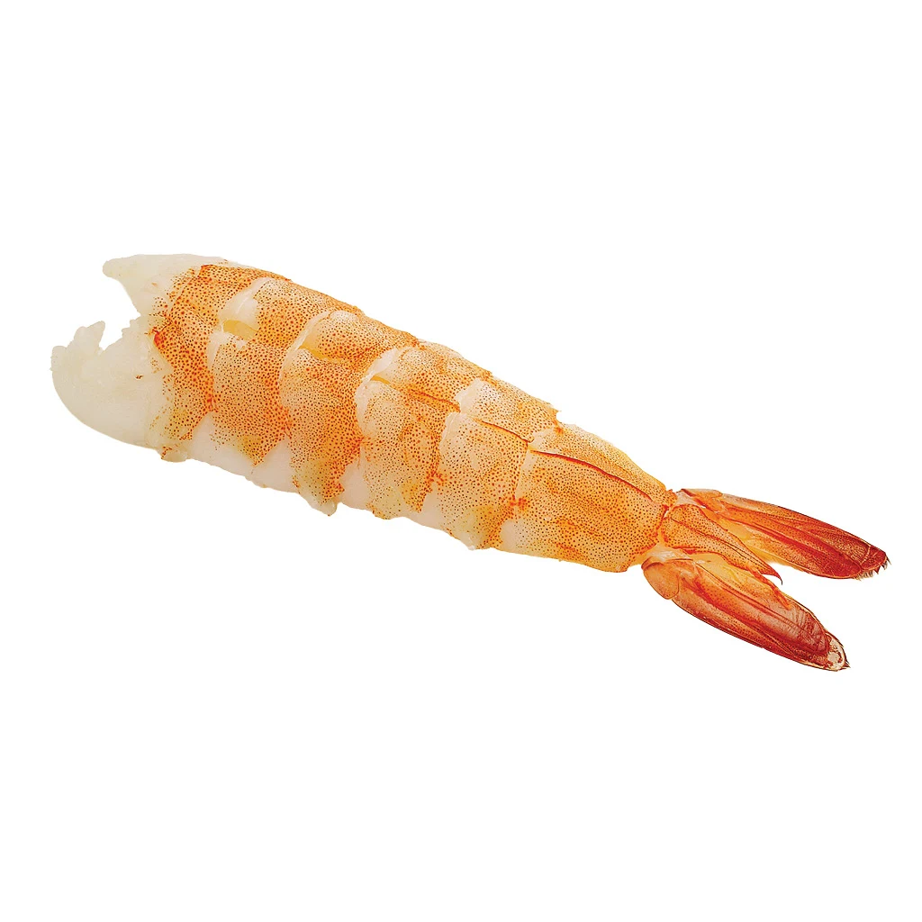 Nigiri EBI