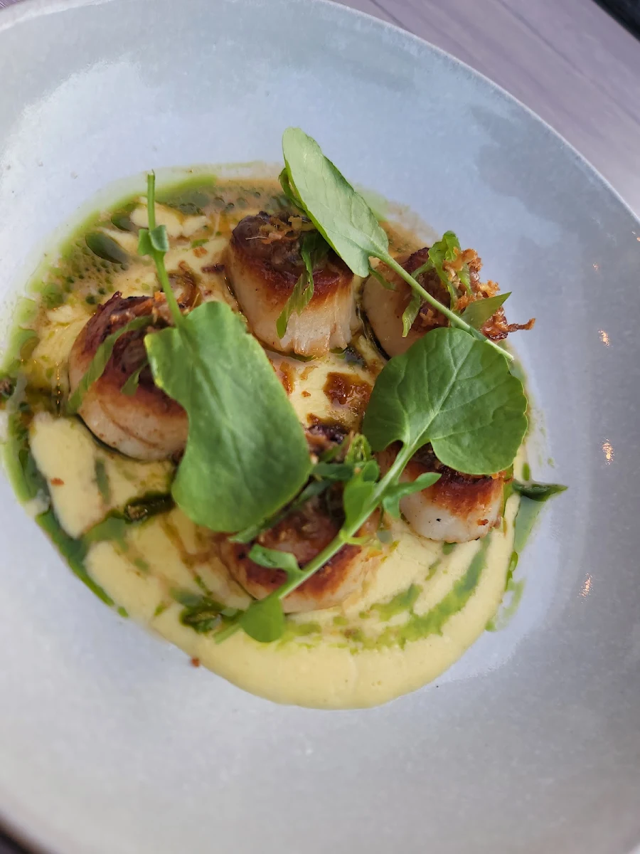 Seared Scallops