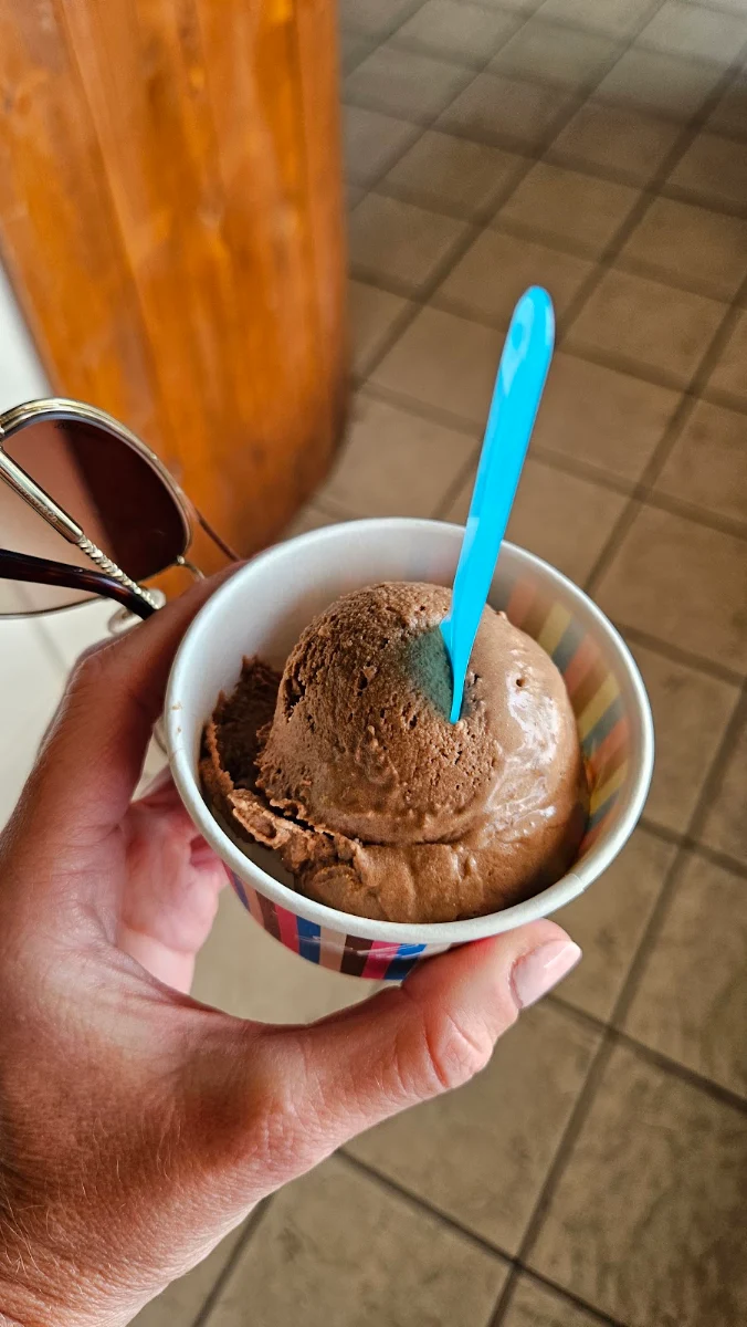 Vegan Chocolate Ice Cream
