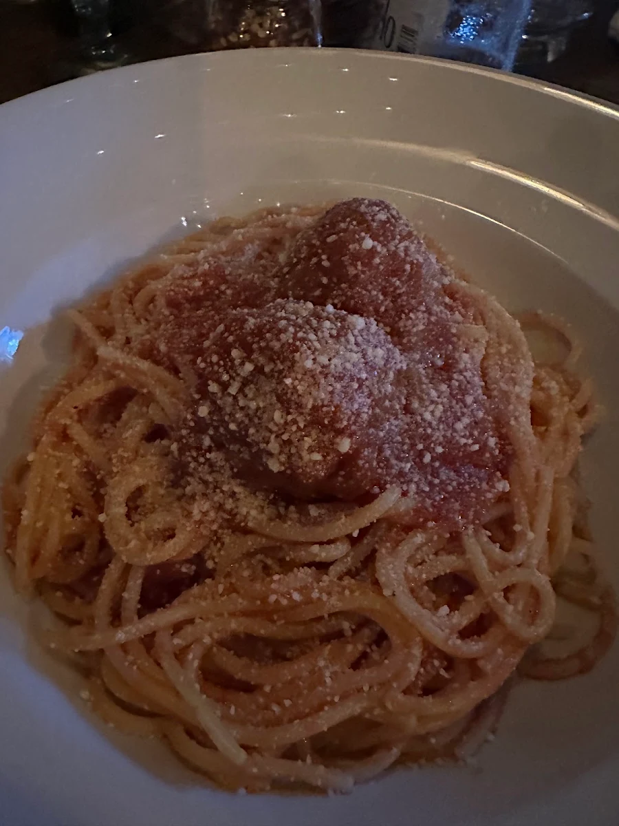 Spaghetti Meatballs