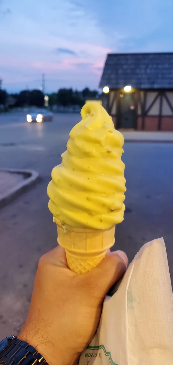 Vanilla Ice-Cream Regular Size with Pistachio White Chocolate Dip