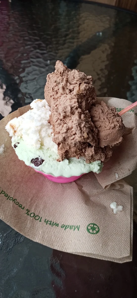 Creme Brulee Chocolate Peanut Butter Mint Chocolate Chip