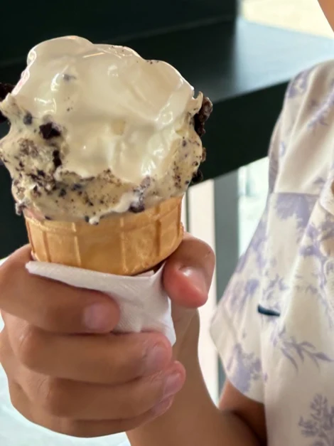 Oreo Ice Cream