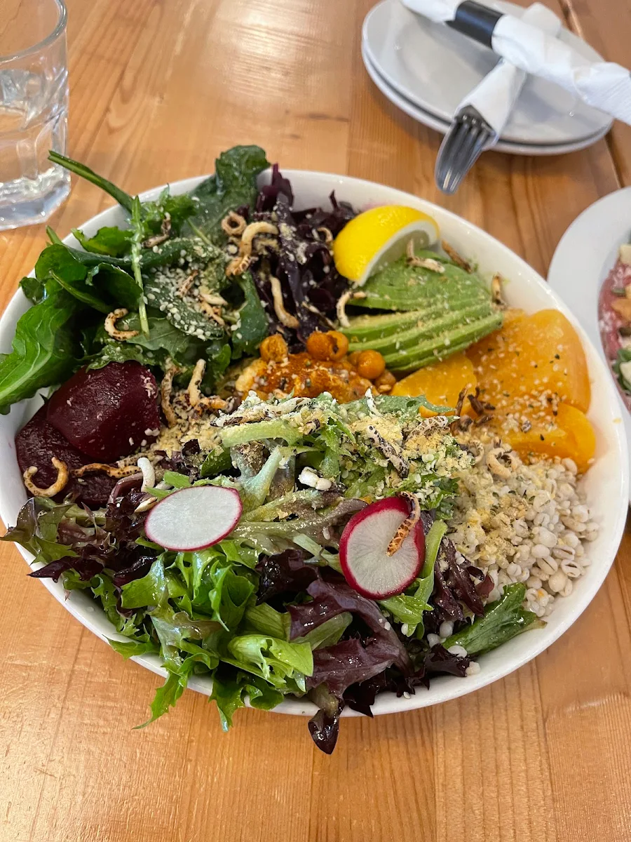 Power Bowl with Salmon