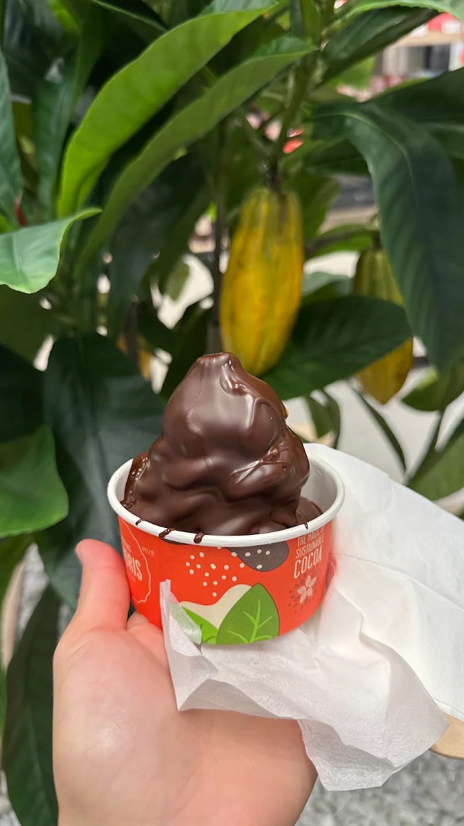 Vegan Vanilla Ice Cream