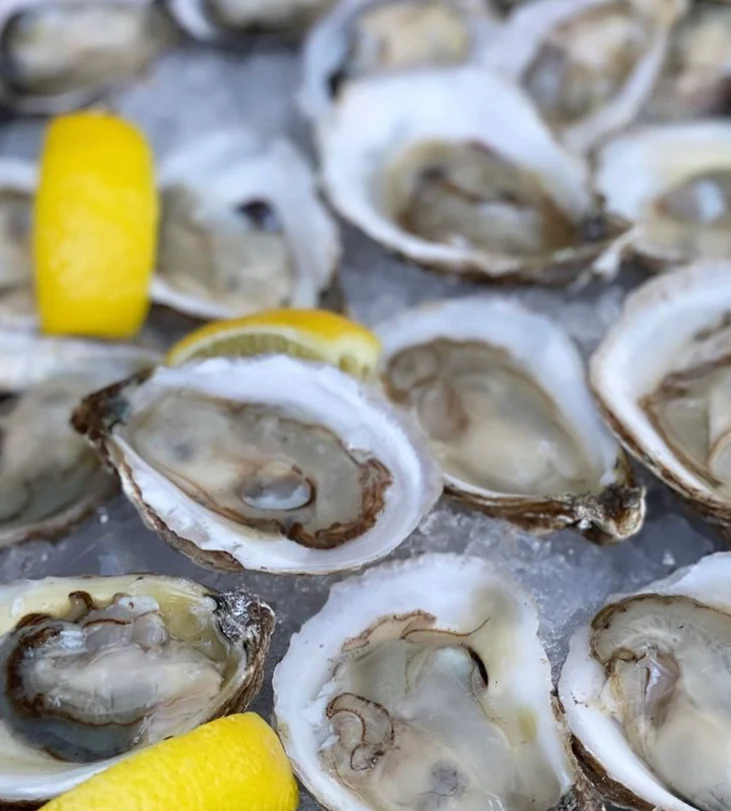 Freshly Shucked Oysters