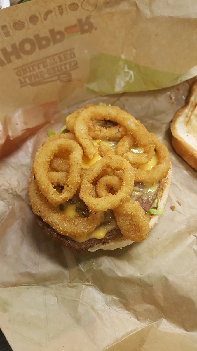 New Onion Rings