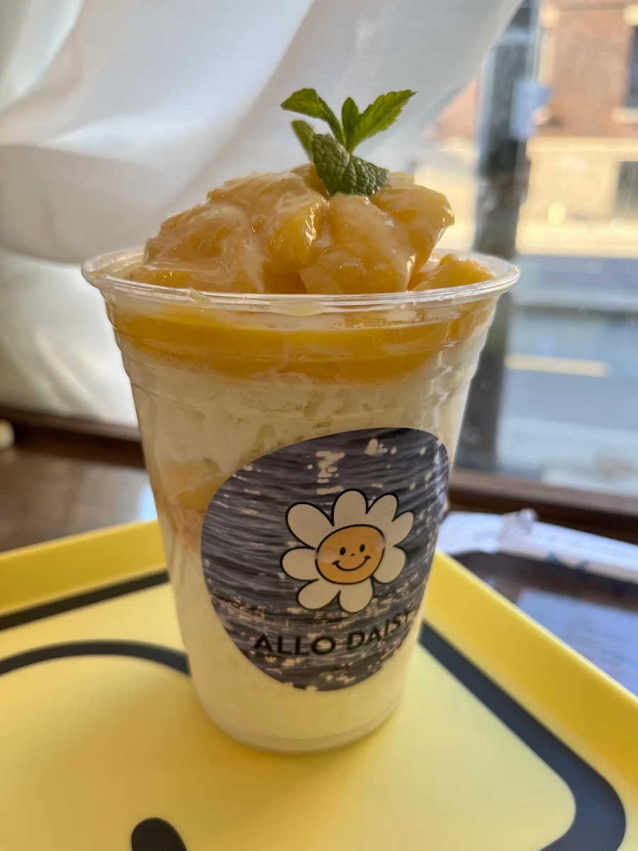 Mango Bingsoo, Allo Daisy