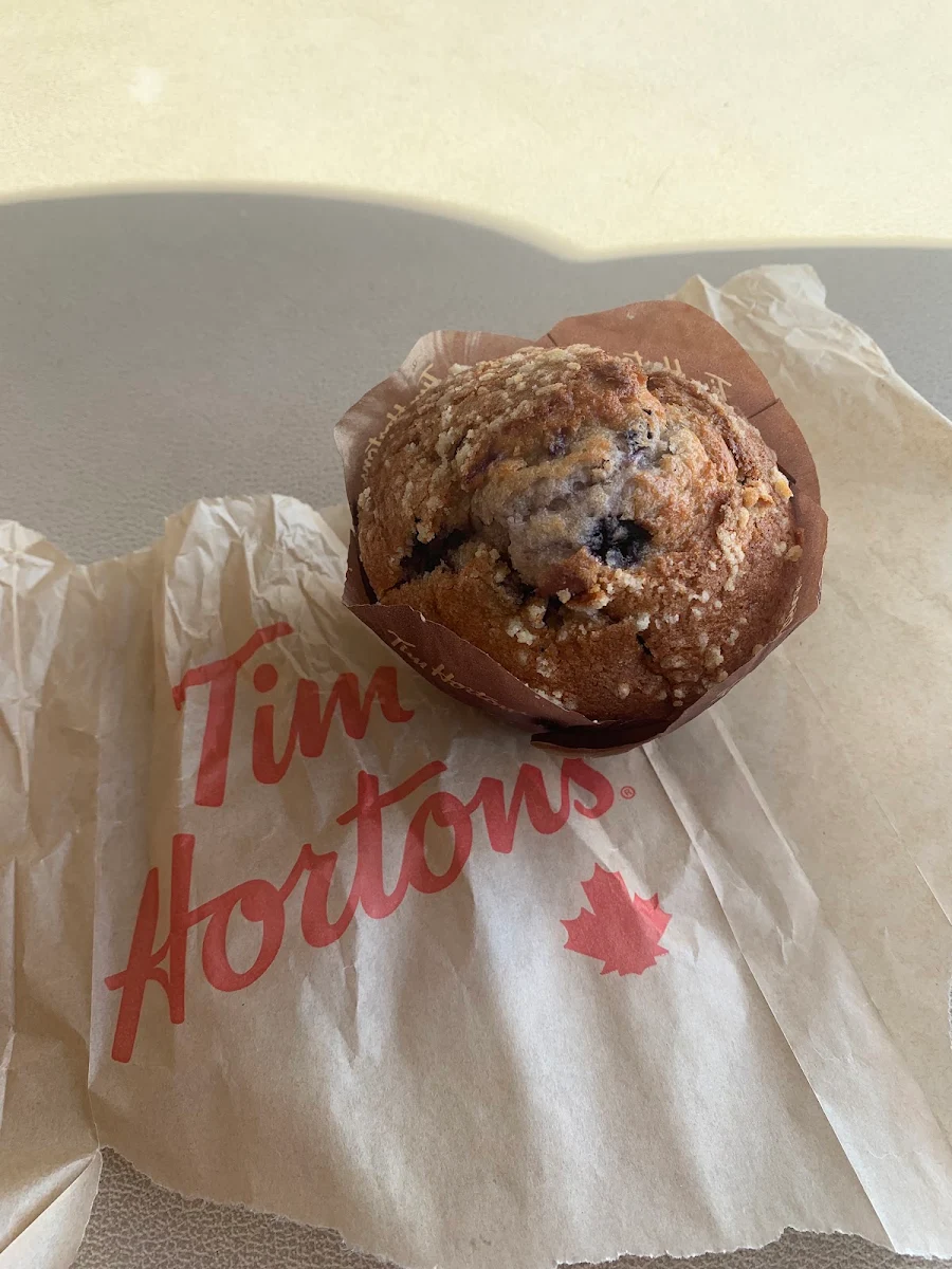 Chocolate Chip Muffin
