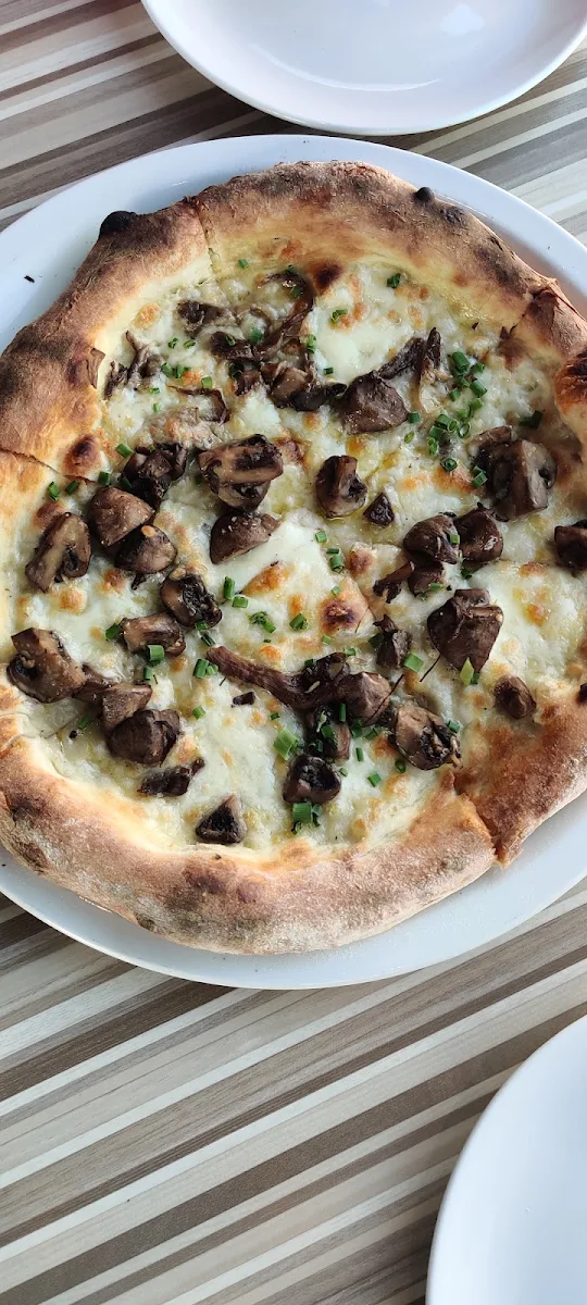 Pizza Funghi