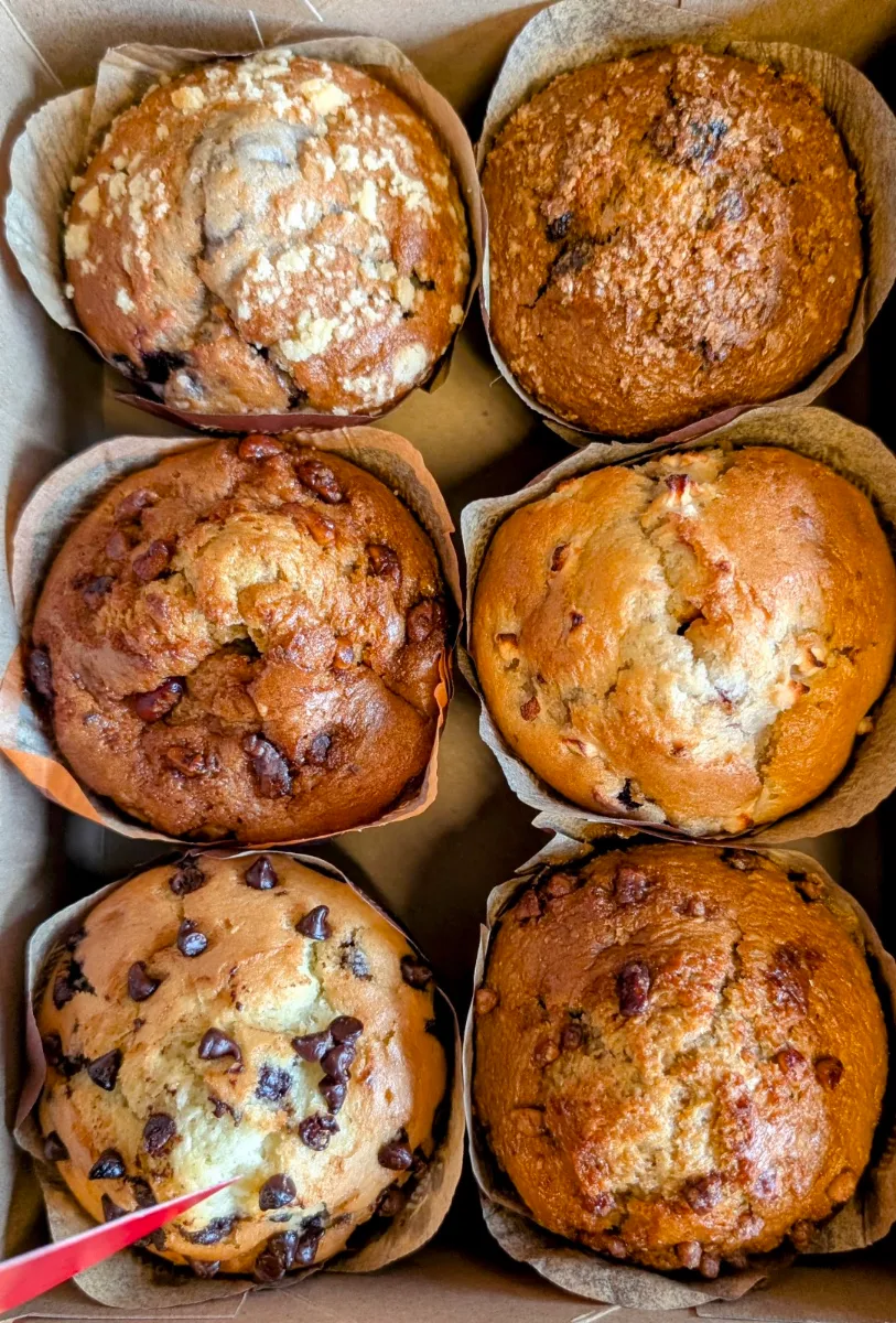 Chocolate Chip Muffin