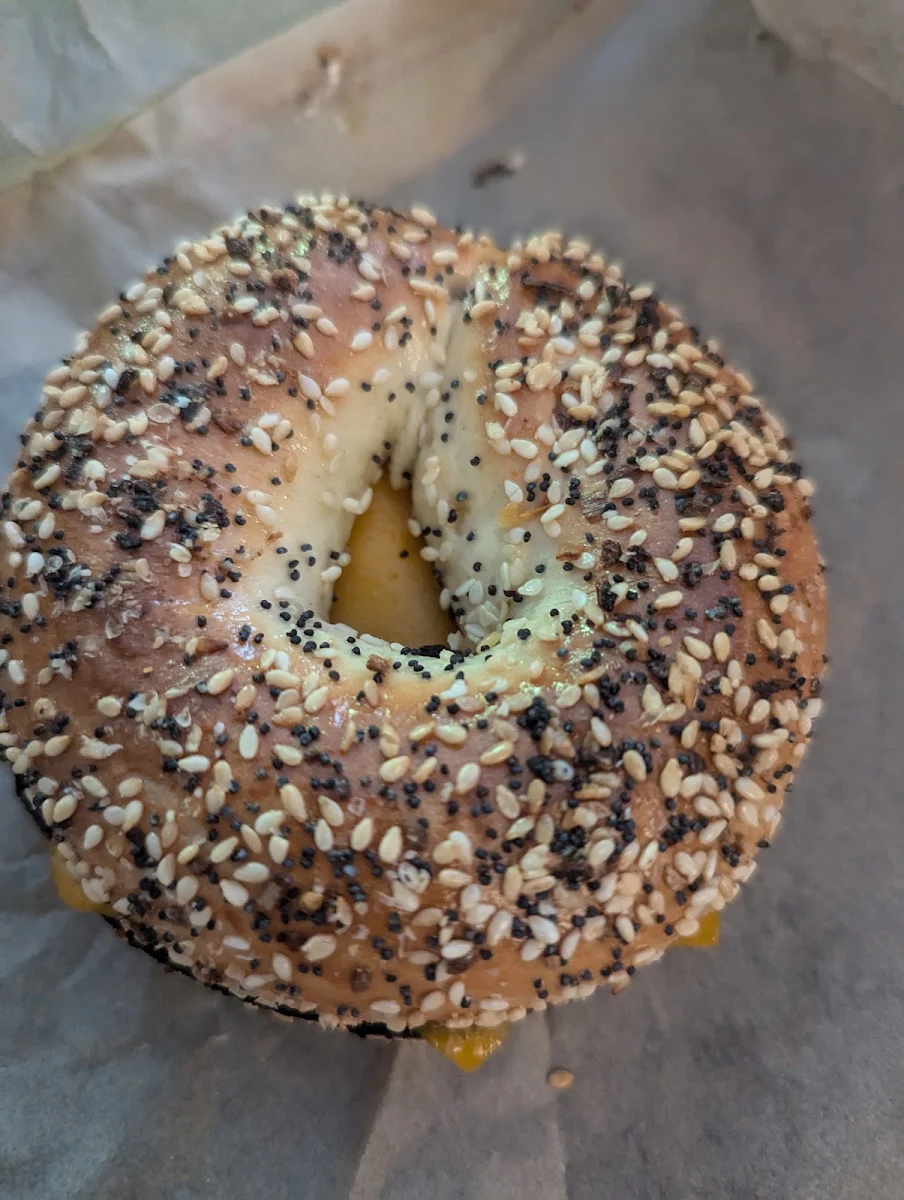 Bagel with Cheddar Cheese