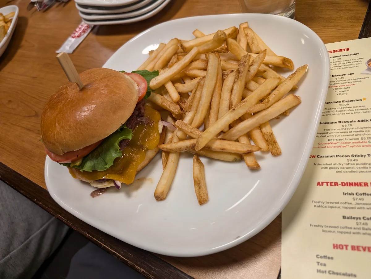 Chicken Burger Combo