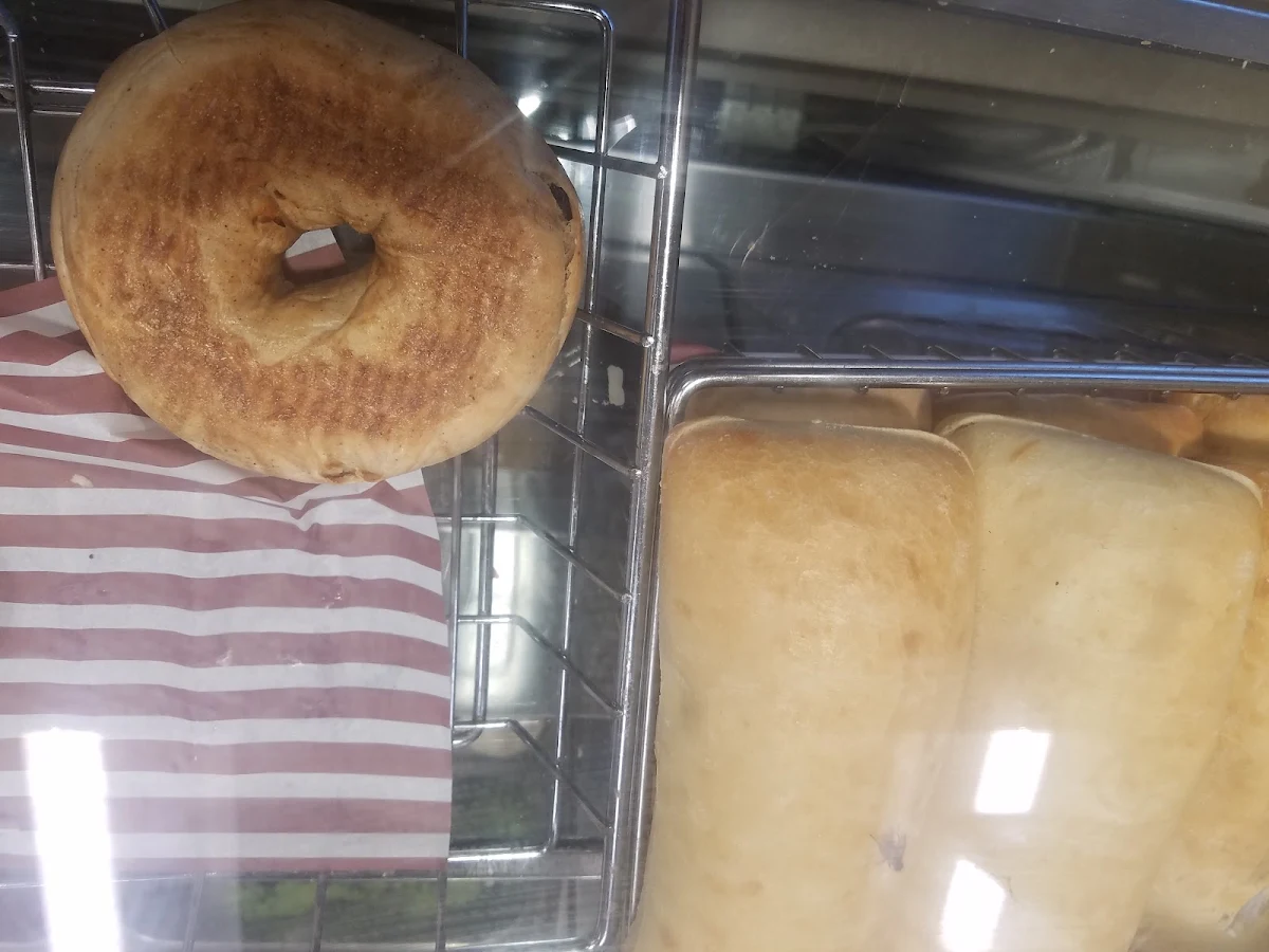 Plain Bagel
