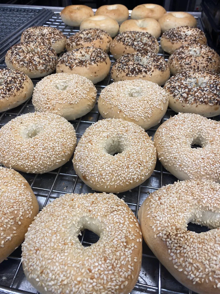 Sesame Seeds Bagel