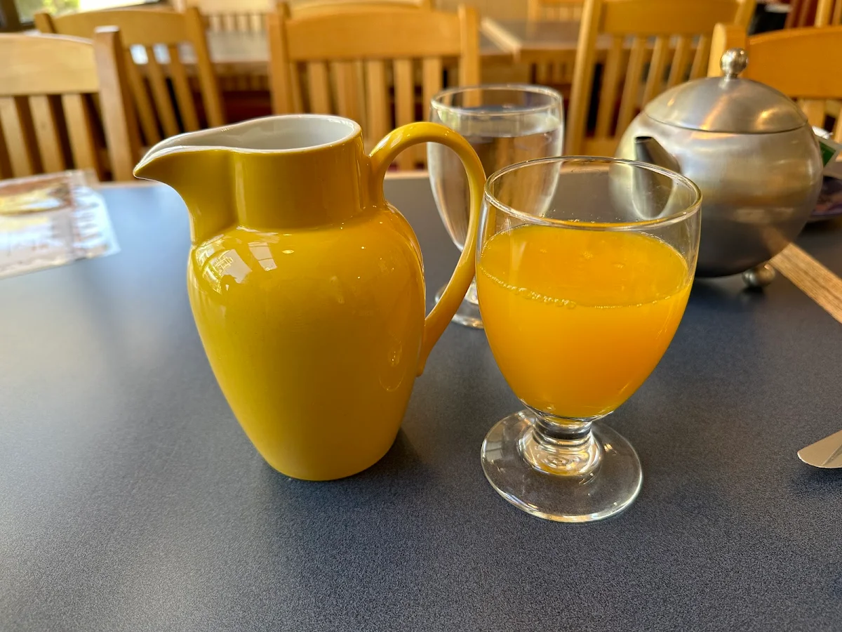 Fresh Squeezed Orange Juice