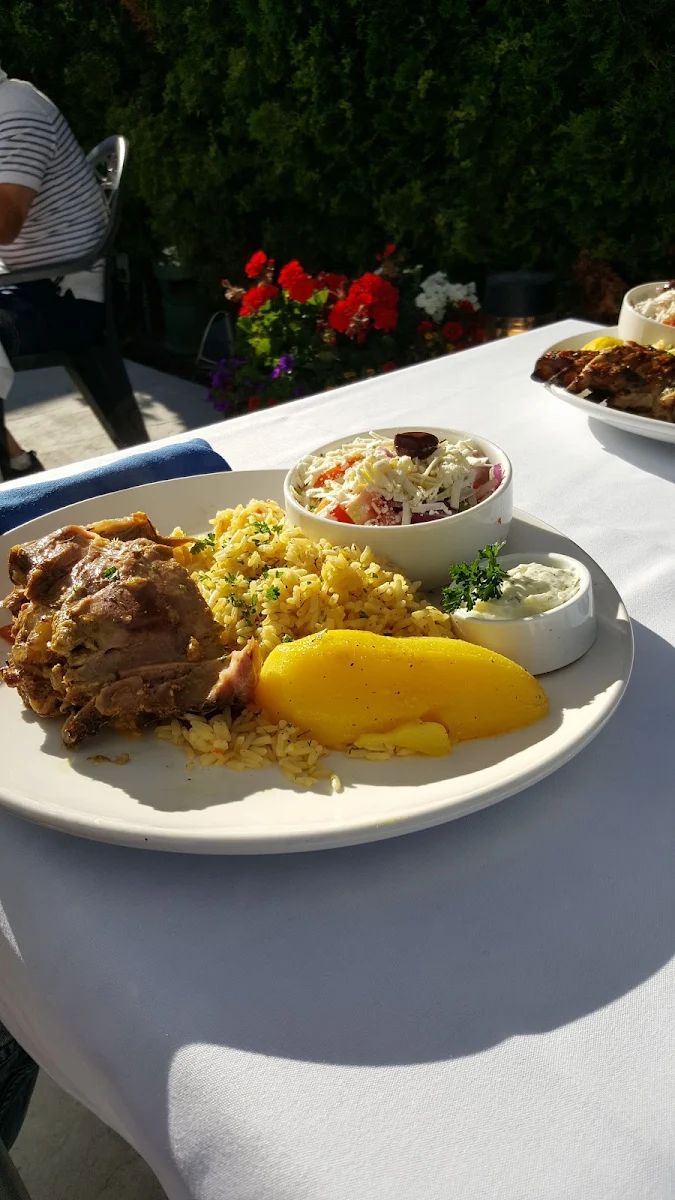 Lamb Chops
