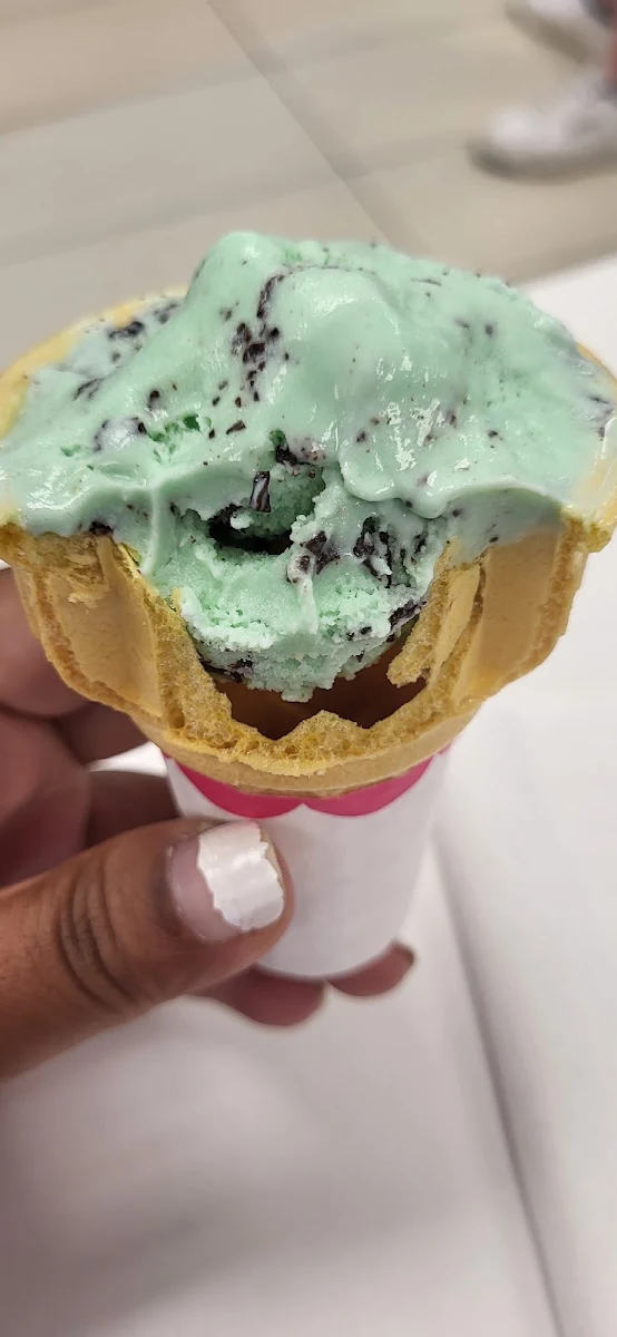 Mint Chocolate Chip