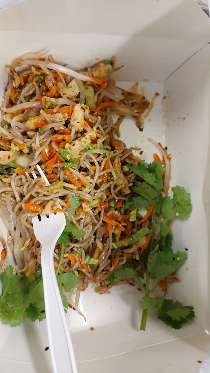 Chicken & Soba Noodle Salad