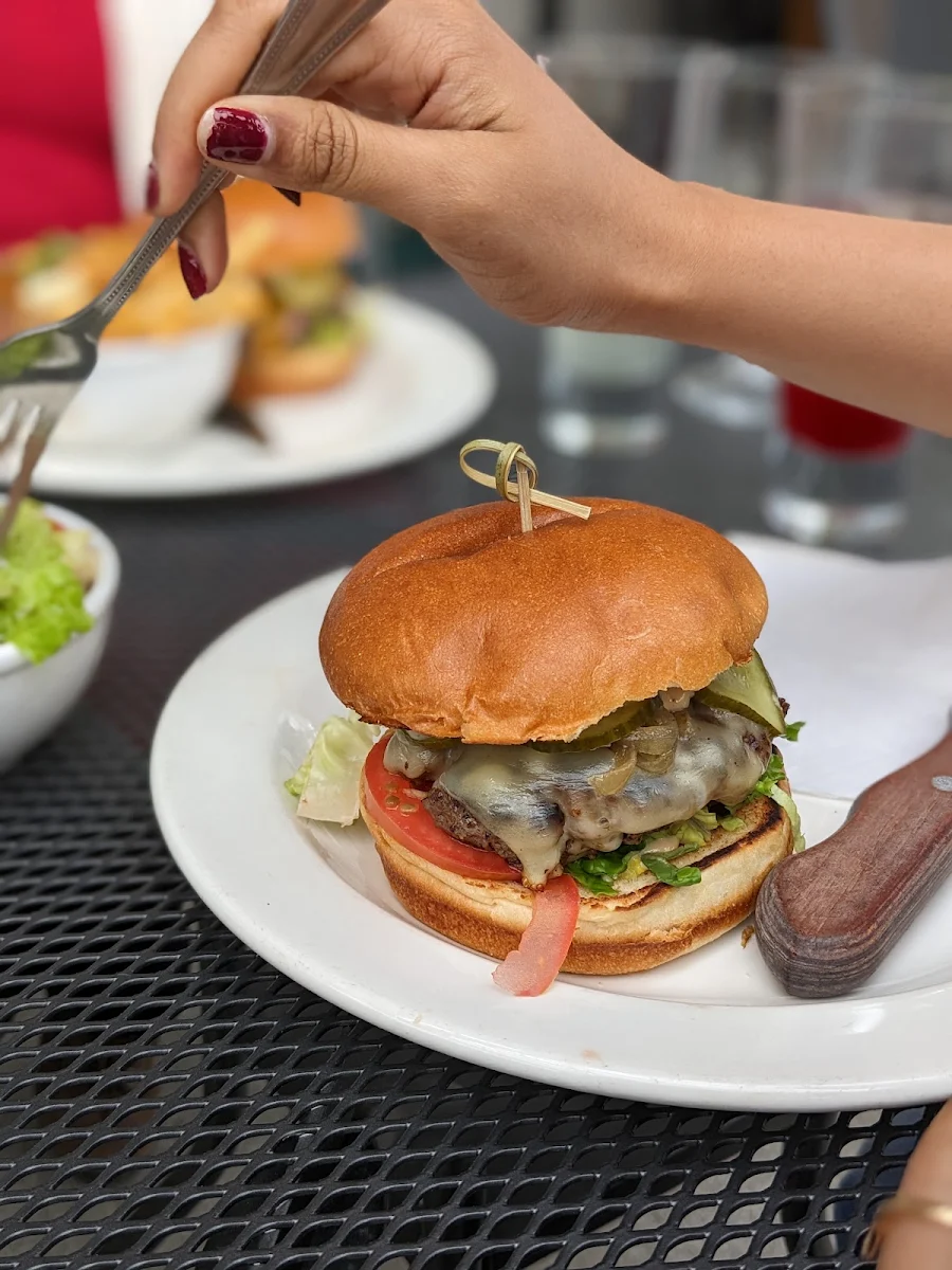 Bison Burger