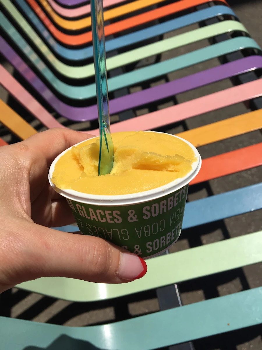 Passion Fruit Ice Cream