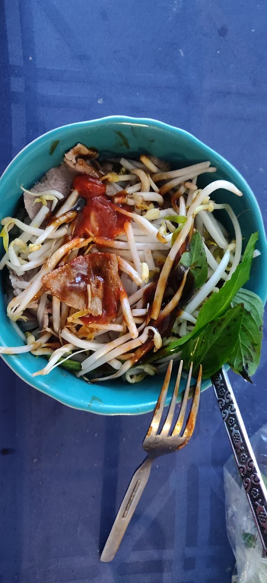 Rare and Well Done Beef Pho
