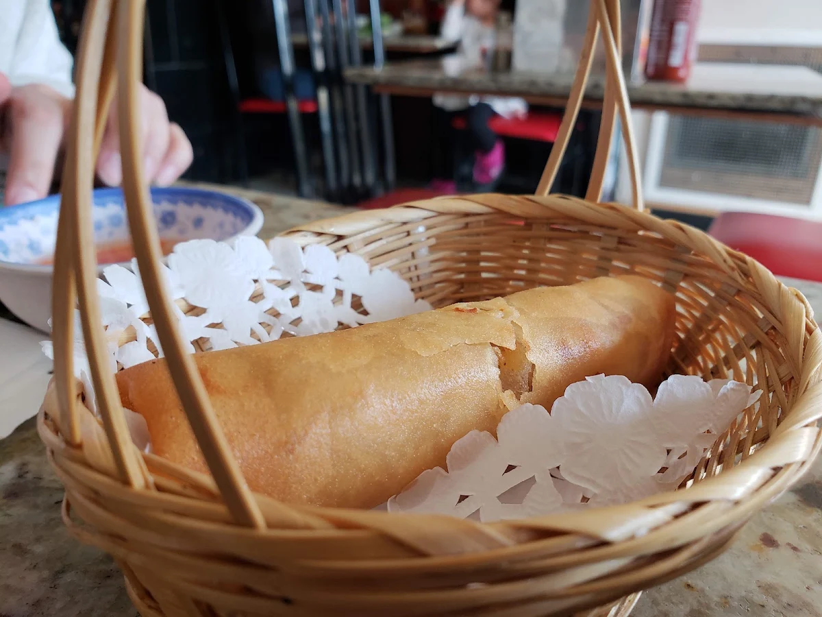 Vegetarian Spring Rolls