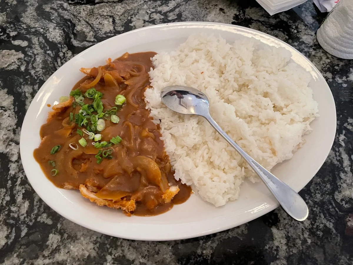 Chicken Cutlet Curry with Rice