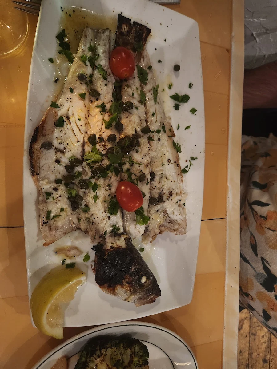 Poisson Du Jour Catch of the Day