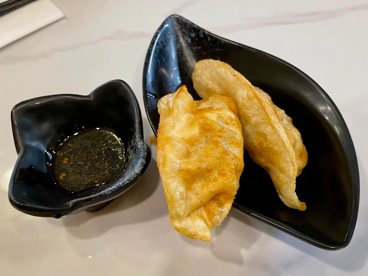 Fresh Chicken Gyoza