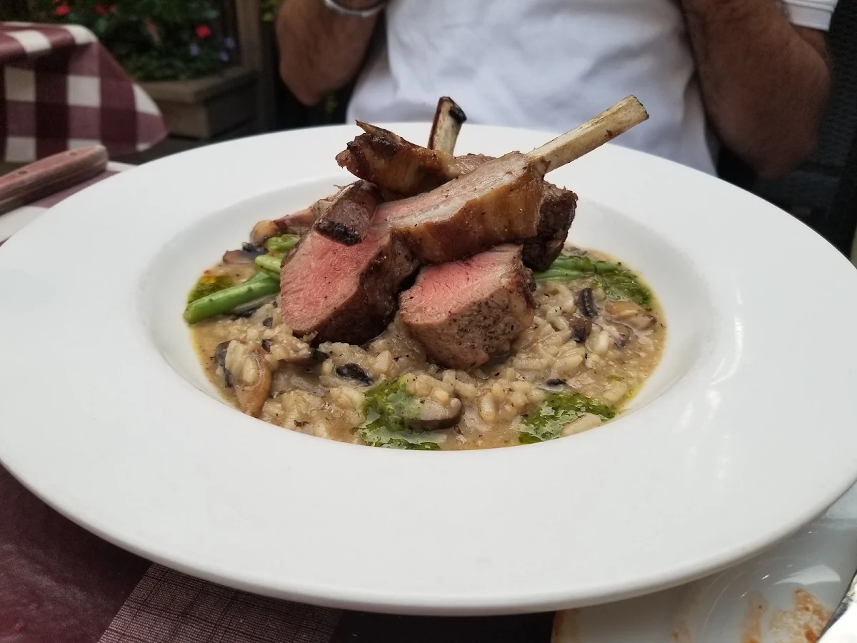 Lamb Shank