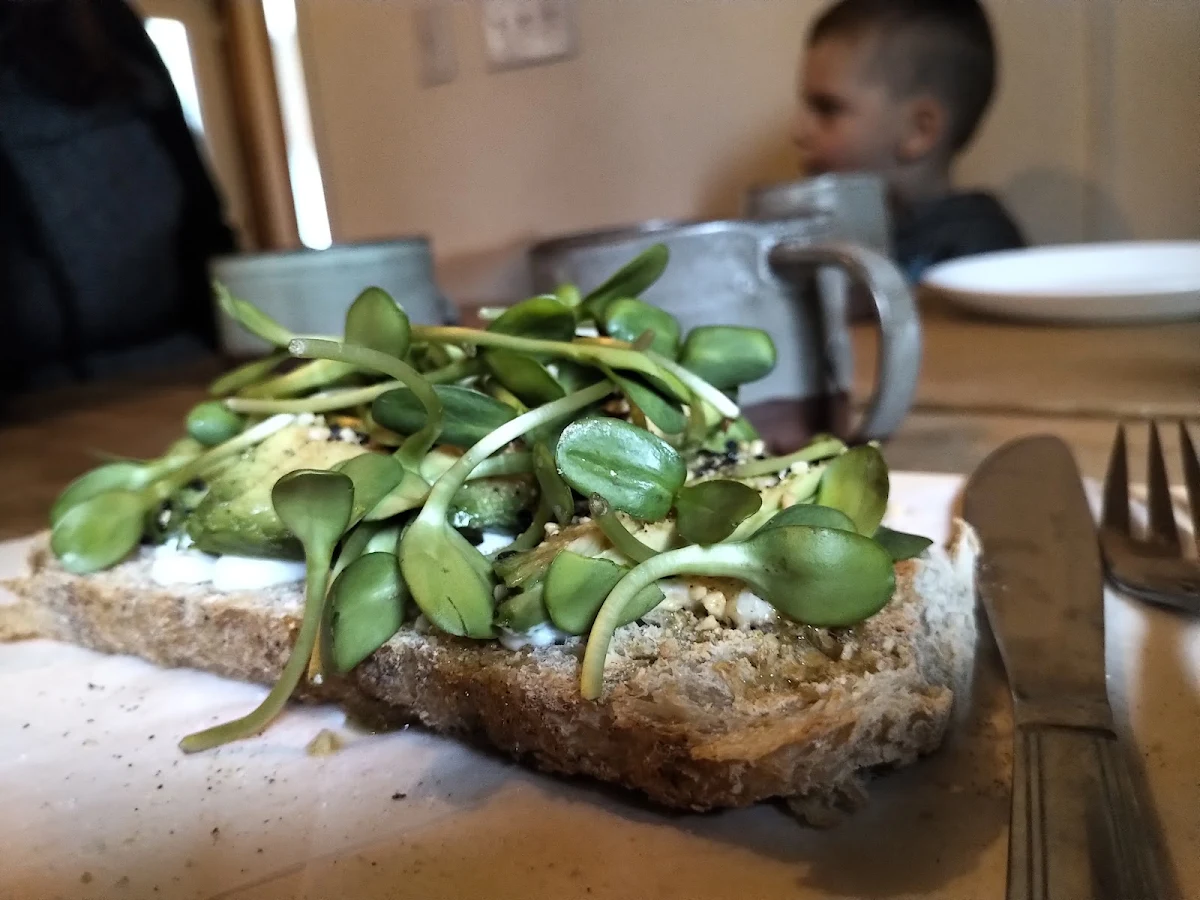 Avocado Toast