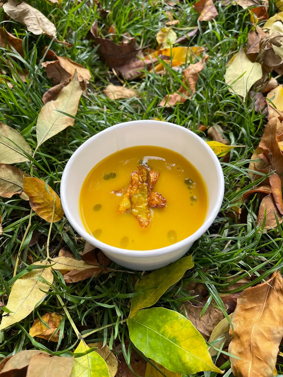 Pumpkin Soup