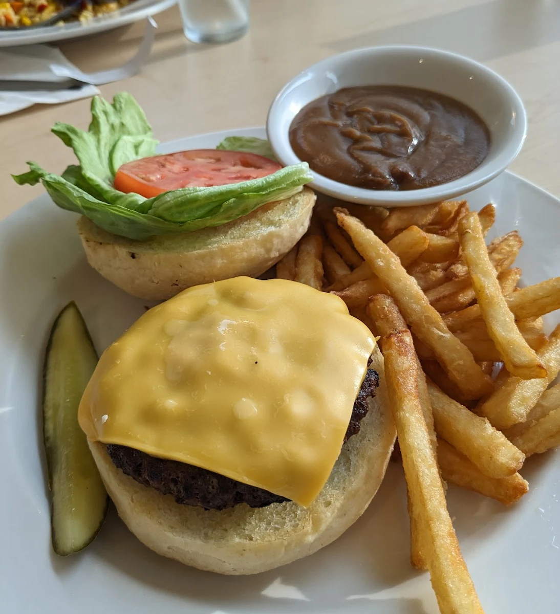 Plain Burger with Fries