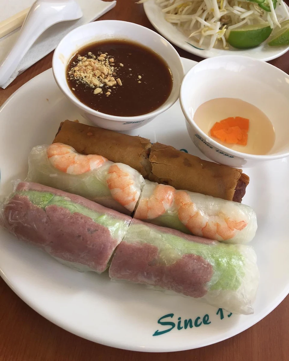 Vietnamese Spring Rolls