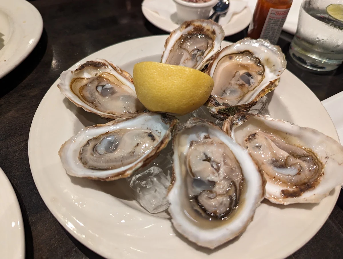 Fresh Oysters