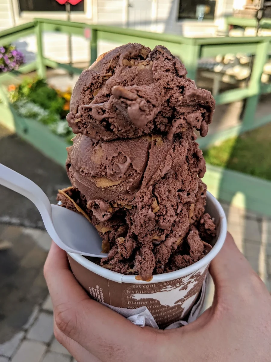 Peanut Butter Chocolate Ice Cream