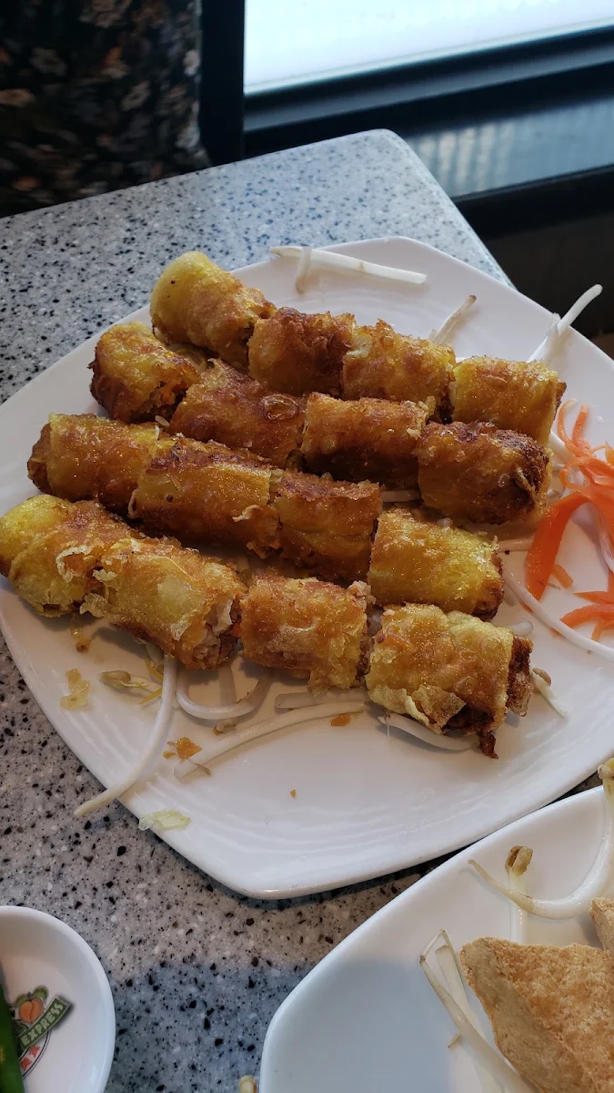 Pork Spring Rolls