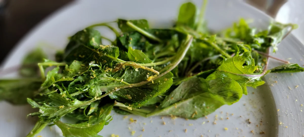 Green Salad