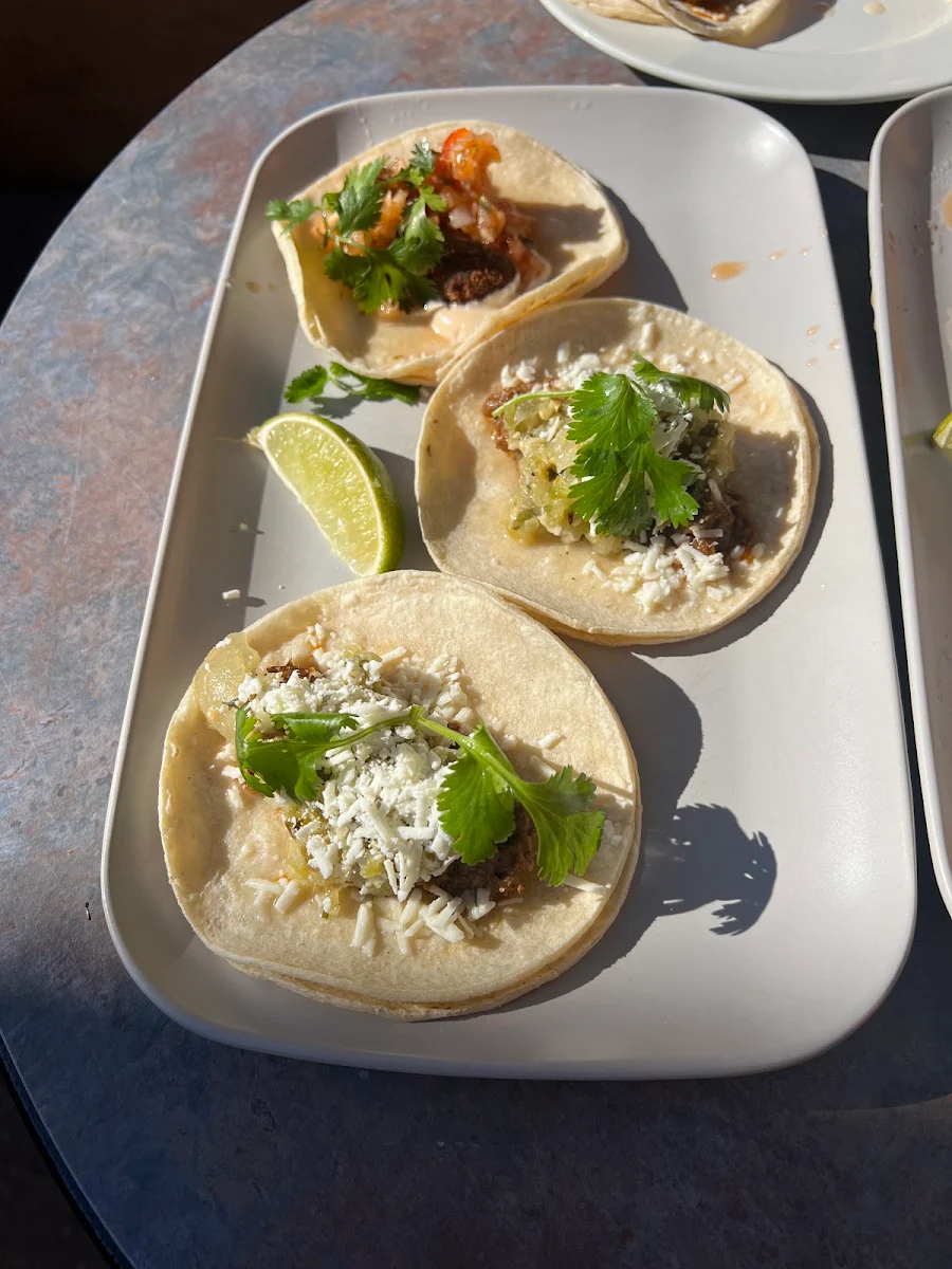 Taco Trio Special
