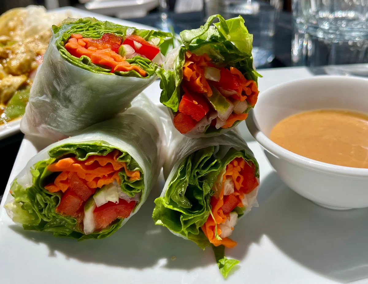 Vegetarian Spring Rolls