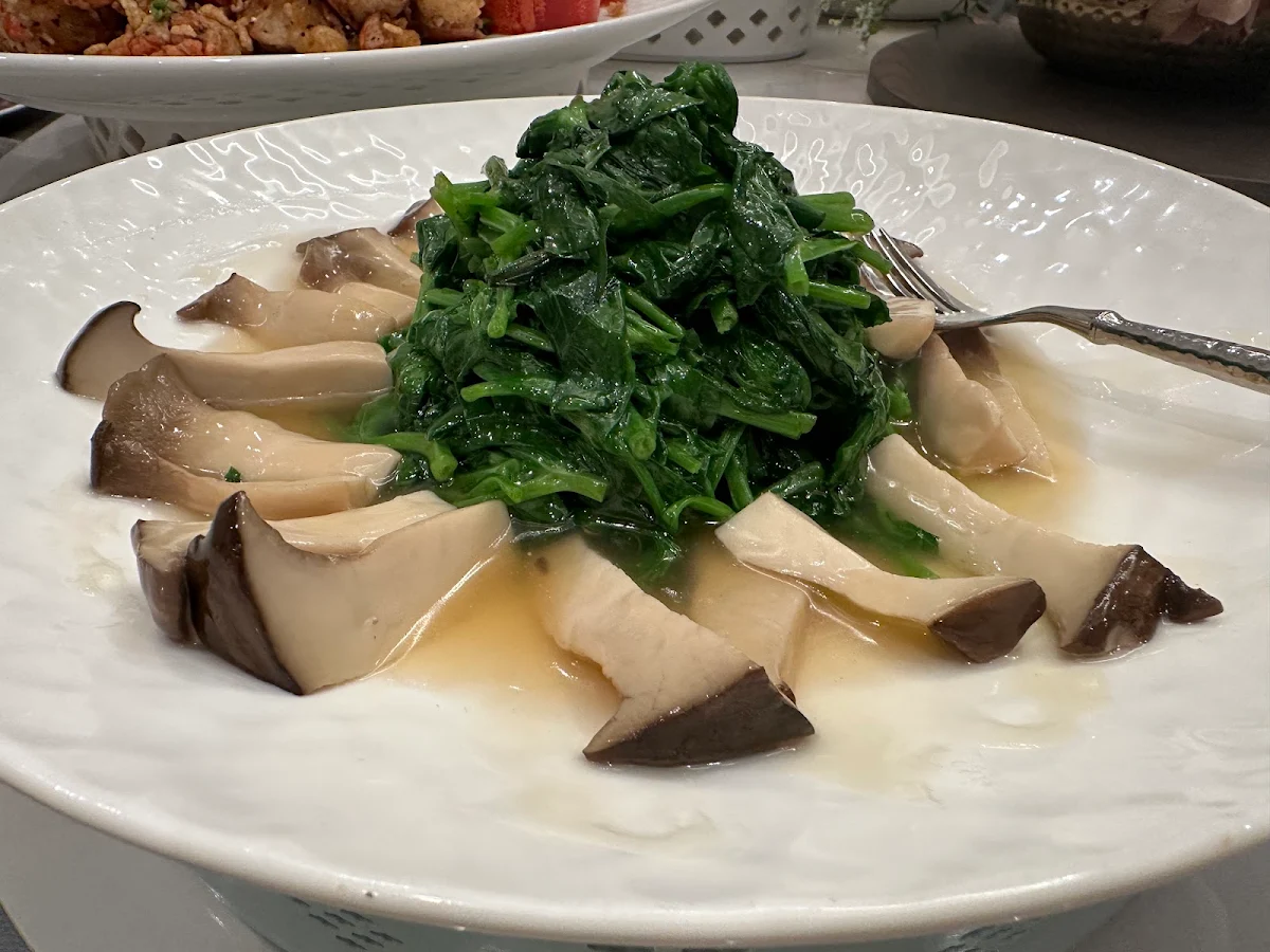 King Mushroom with Snow Pea Leaves