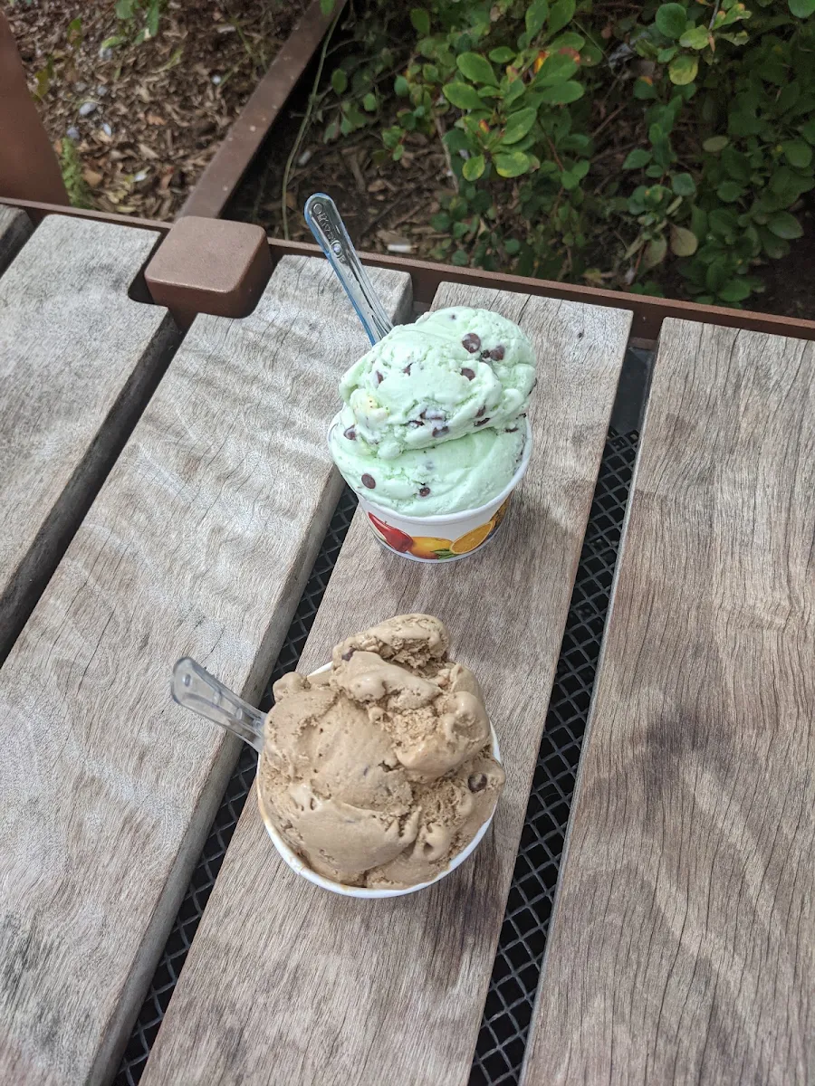 Mint Chocolate Ice Cream, Rocky Mountain Chocolate Factory