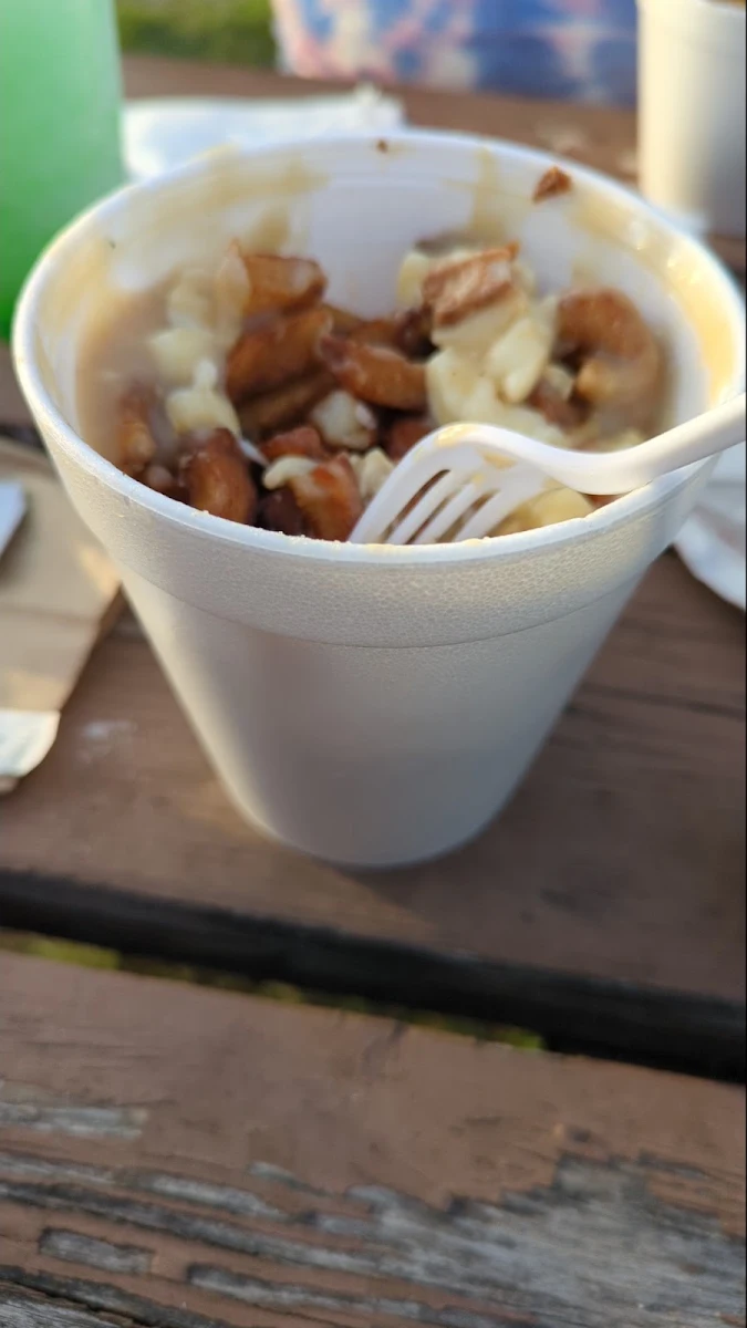 Large Poutine