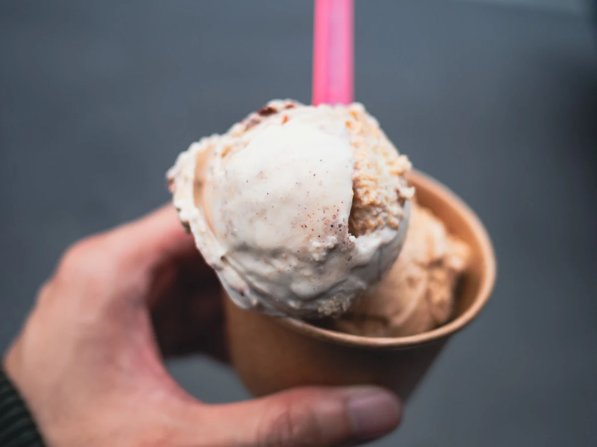Vegan Chocolate Sorbet Hand Pack