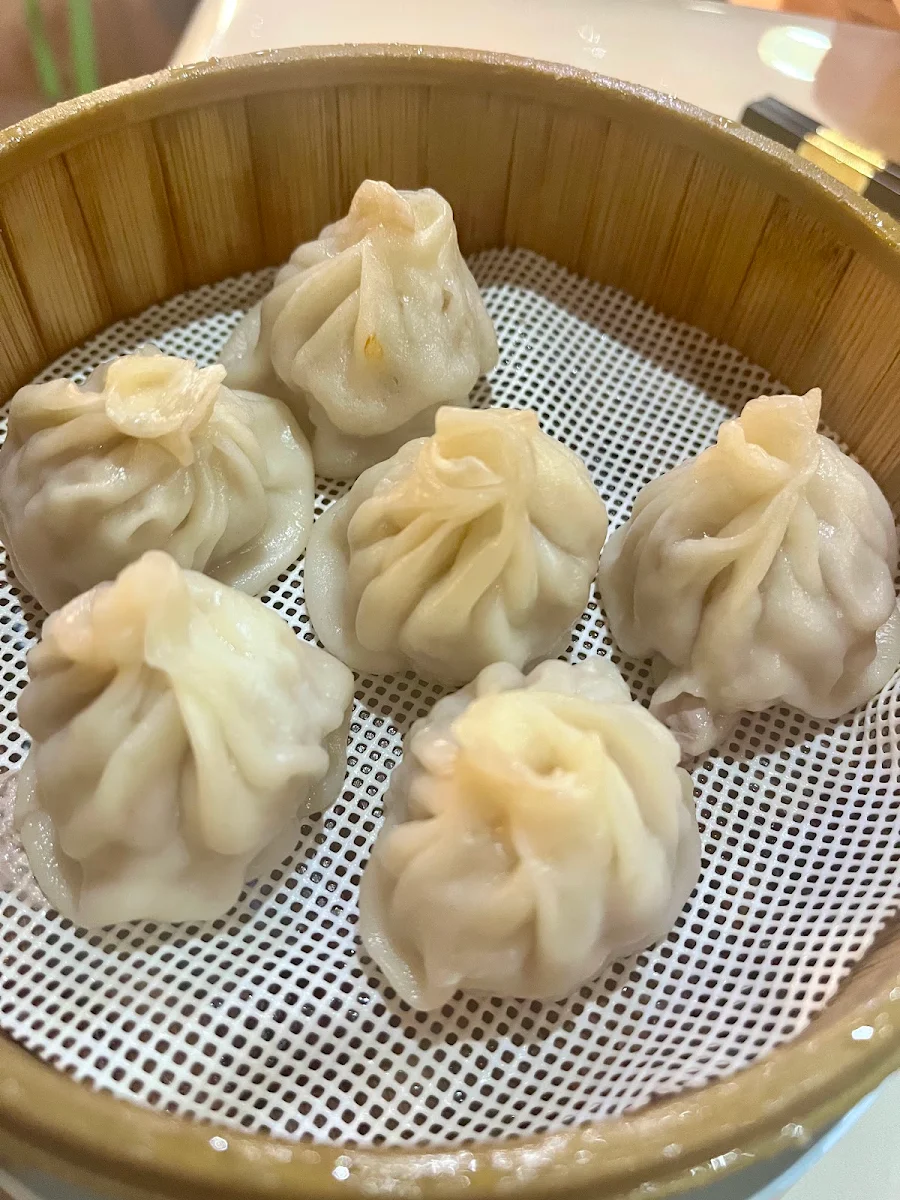 Pork Dumplings