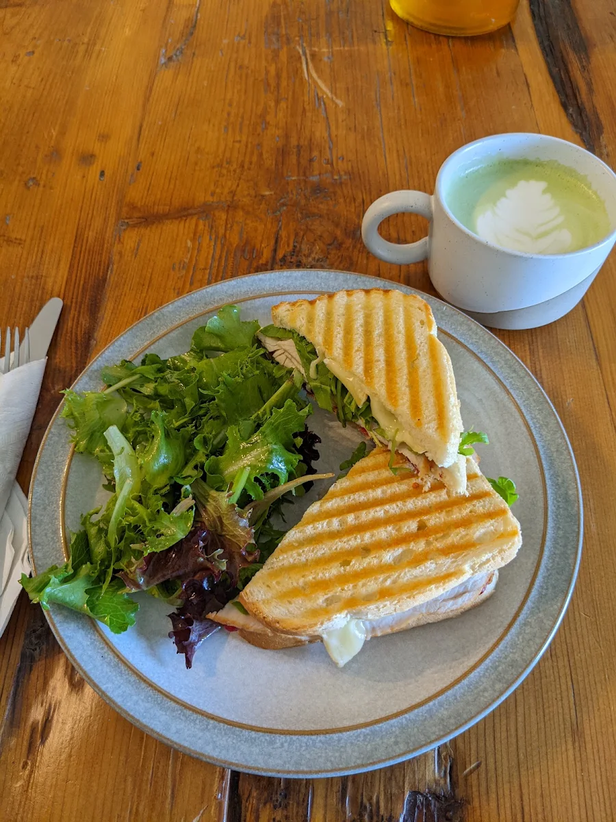 Turkey Cranberry Brie Panini