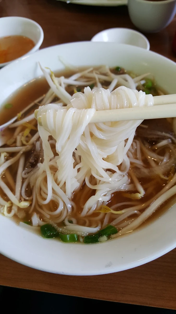 Noodles Vermicelli