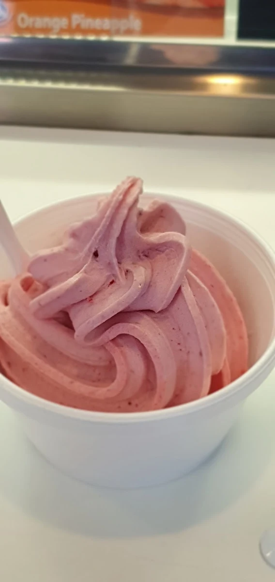 Frozen Strawberry Yogurt