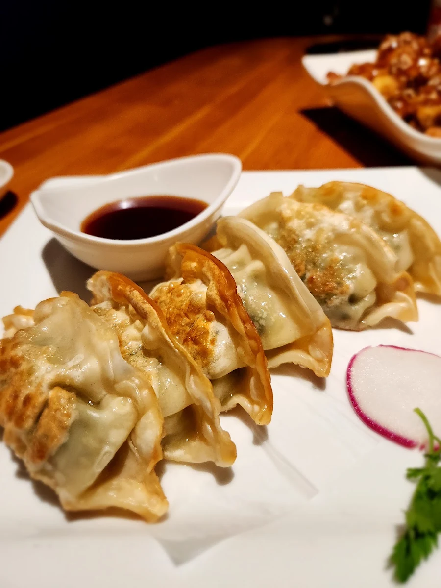 Pan Fried Gyoza